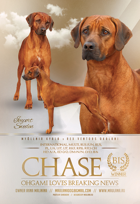 chase2016