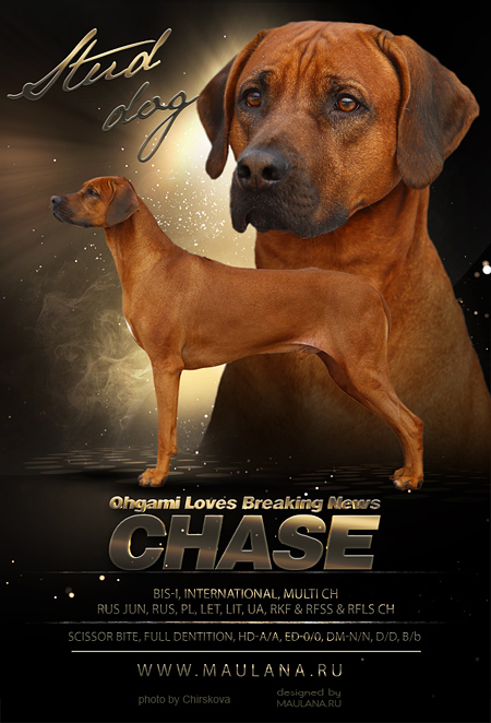 chase2016black